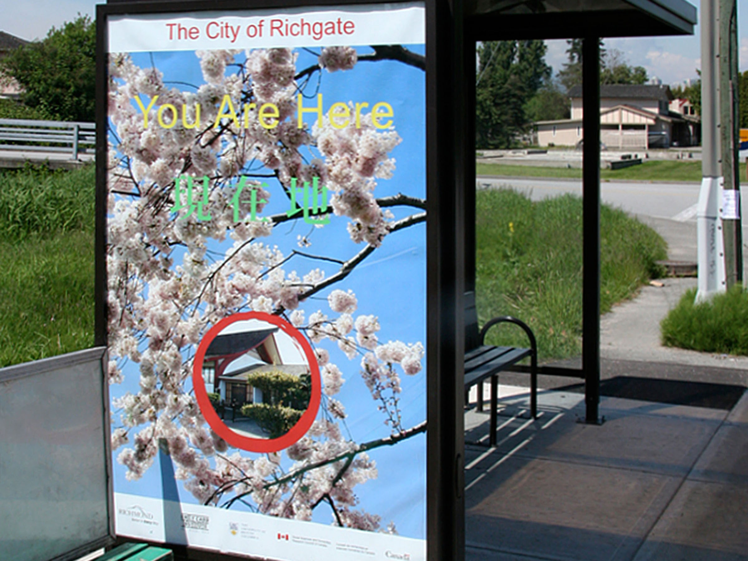 Richgate Bus Shelters
