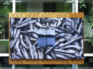 ruth-beer-auckland-exhibition-web-03