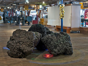 ruth-beer-disrupting-currents-catch+release-web-09