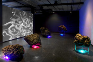 ruth-beer-disrupting-currents-vivo-web-02