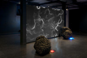 ruth-beer-disrupting-currents-vivo-web-03