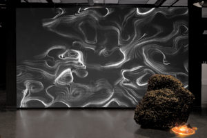 ruth-beer-disrupting-currents-vivo-web-04