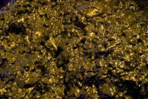 ruth-beer-disrupting-currents-vivo-web-10