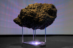 ruth-beer-disrupting-currents-vivo-web-11