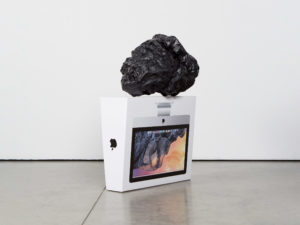 ruth-beer-inversion-web-03