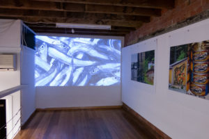 ruth-beer-manufractured-landscapes-web-02