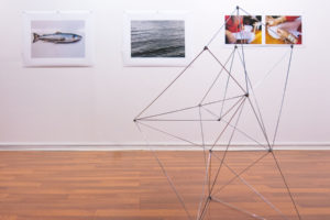 ruth-beer-manufractured-landscapes-web-11