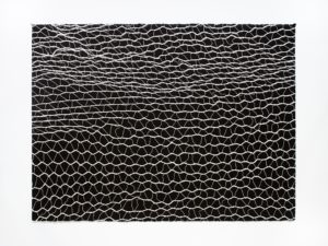 ruth-beer-monoprints-web-04