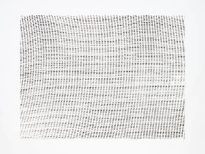 ruth-beer-monoprints-web-07