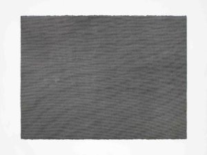 ruth-beer-monoprints-web-10