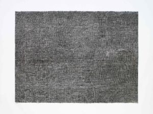 ruth-beer-monoprints-web-11