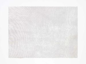 ruth-beer-monoprints-web-12