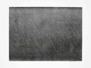 ruth-beer-monoprints-web-14