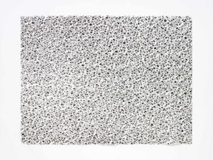 ruth-beer-monoprints-web-15