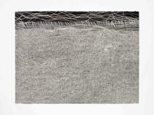 ruth-beer-monoprints-web-17