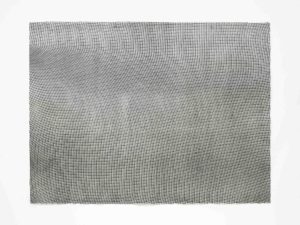 ruth-beer-monoprints-web-18