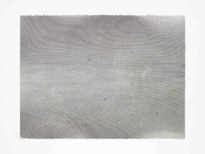 ruth-beer-monoprints-web-19