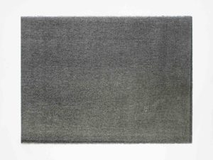 ruth-beer-monoprints-web-21