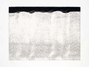 ruth-beer-monoprints-web-22