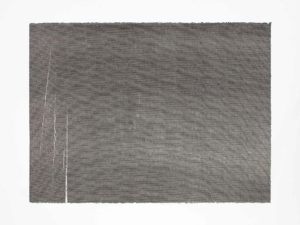 ruth-beer-monoprints-web-23