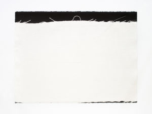 ruth-beer-monoprints-web-26