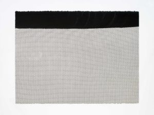 ruth-beer-monoprints-web-29