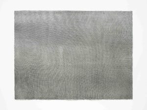 ruth-beer-monoprints-web-33