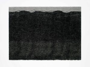 ruth-beer-monoprints-web-34