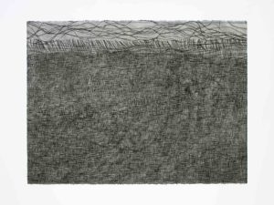 ruth-beer-monoprints-web-36