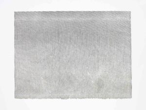 ruth-beer-monoprints-web-37