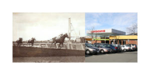 Gill-side-by-side_1_sm3_1