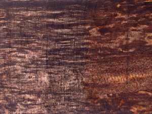 ruth-beer-fish-web-03