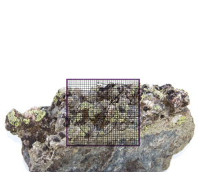 IMG_9144_v2_aRGB_flt8