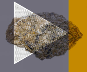 IMG_9151-1_v2s_aRGB_flt8