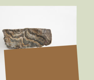 IMG_9525_v2_aRGB_flt8