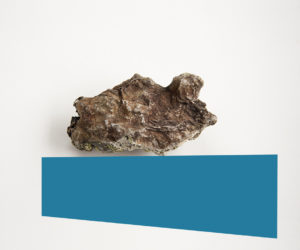 IMG_9605_v1_aRGB_flt8