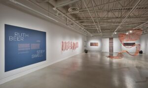 ruth-beer-seep-swell-1