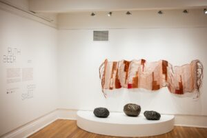 ruth-beer-seep-swell-9