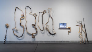 ruth-beer-shifting-ground-4