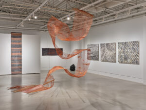 ruth-beer-sunshine-3